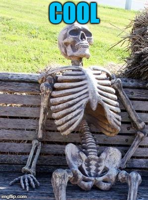 Waiting Skeleton Meme | COOL | image tagged in memes,waiting skeleton | made w/ Imgflip meme maker