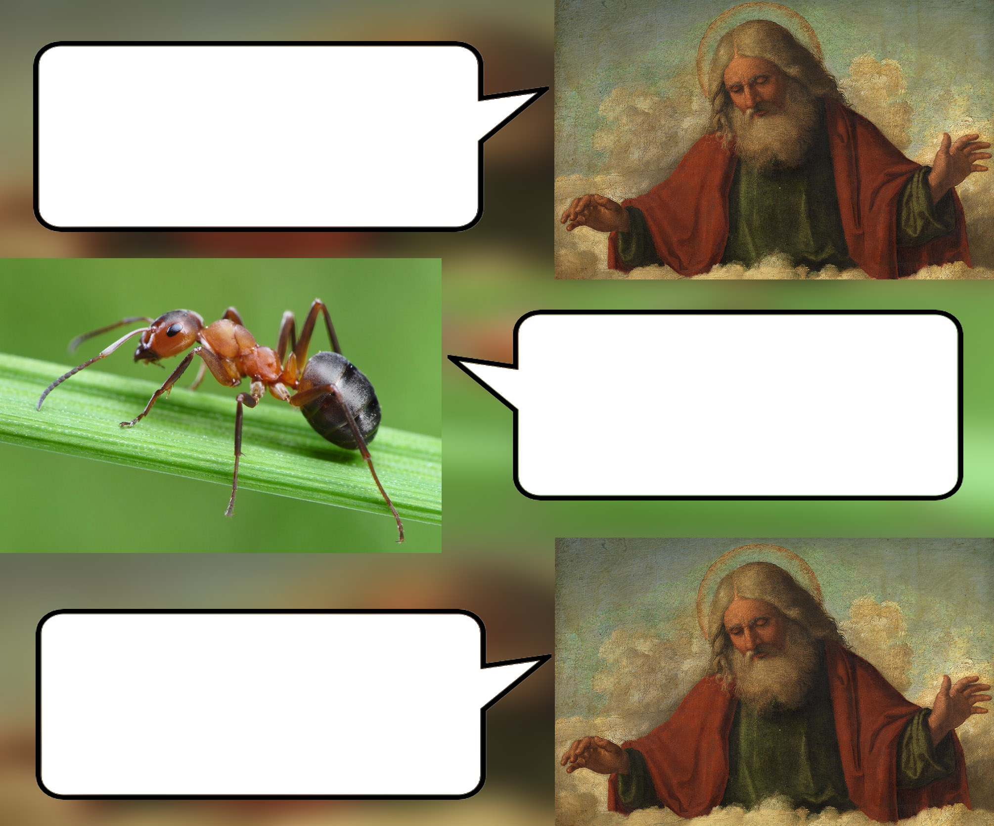 God, ants & anteaters Blank Meme Template