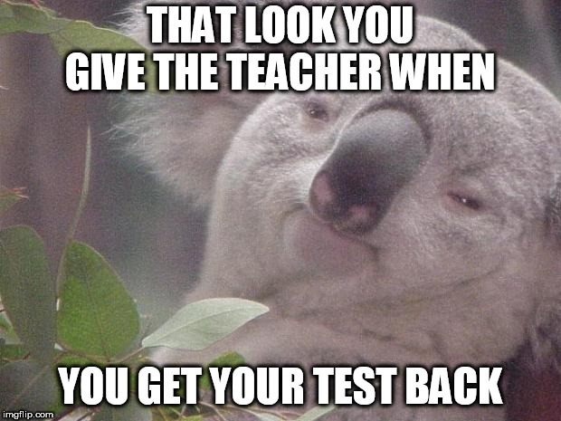 Dank Koala | THAT LOOK YOU GIVE THE TEACHER WHEN; YOU GET YOUR TEST BACK | image tagged in dank koala | made w/ Imgflip meme maker