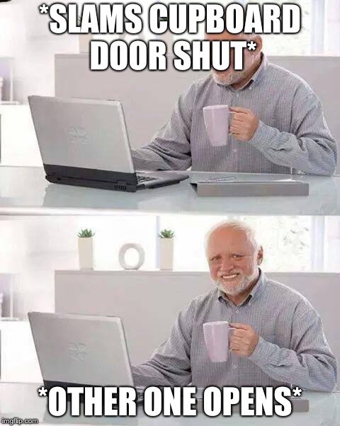 feels bad | *SLAMS CUPBOARD DOOR SHUT*; *OTHER ONE OPENS* | image tagged in memes,hide the pain harold,scumbag | made w/ Imgflip meme maker