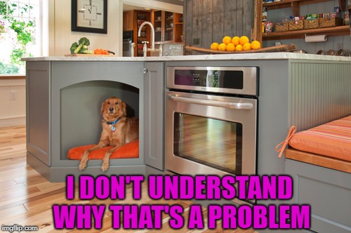 I DON'T UNDERSTAND WHY THAT'S A PROBLEM | made w/ Imgflip meme maker