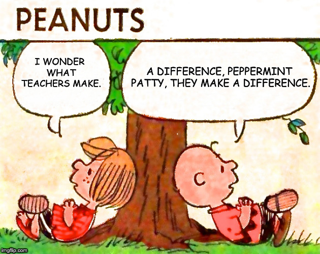 Peanuts Charlie Brown Peppermint Patty | A DIFFERENCE, PEPPERMINT PATTY, THEY MAKE A DIFFERENCE. I WONDER WHAT TEACHERS MAKE. | image tagged in peanuts charlie brown peppermint patty | made w/ Imgflip meme maker