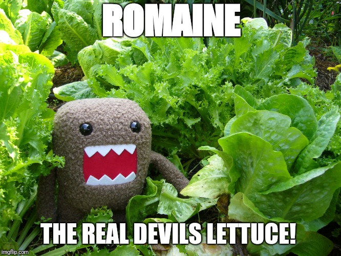 Killer Lettuce | ROMAINE; THE REAL DEVILS LETTUCE! | image tagged in killer lettuce | made w/ Imgflip meme maker