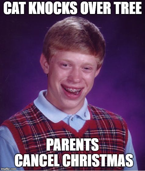 Bad Luck Brian Meme | CAT KNOCKS OVER TREE PARENTS CANCEL CHRISTMAS | image tagged in memes,bad luck brian | made w/ Imgflip meme maker