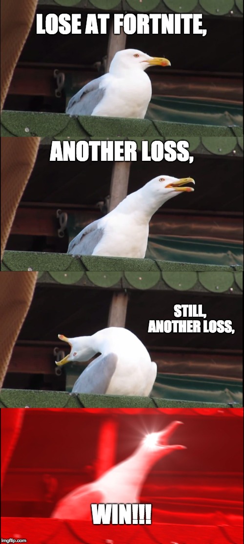 Inhaling Seagull Meme | LOSE AT FORTNITE, ANOTHER LOSS, STILL, ANOTHER LOSS, WIN!!! | image tagged in memes,inhaling seagull | made w/ Imgflip meme maker