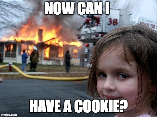 Disaster Girl Meme | NOW CAN I; HAVE A COOKIE? | image tagged in memes,disaster girl | made w/ Imgflip meme maker