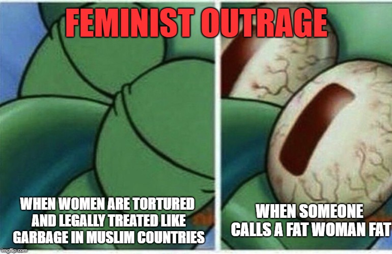 Squidward | FEMINIST OUTRAGE; WHEN WOMEN ARE TORTURED AND LEGALLY TREATED LIKE GARBAGE IN MUSLIM COUNTRIES; WHEN SOMEONE CALLS A FAT WOMAN FAT | image tagged in squidward | made w/ Imgflip meme maker