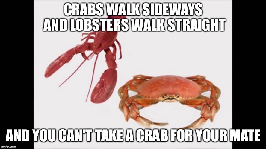 Old early 60s song | CRABS WALK SIDEWAYS AND LOBSTERS WALK STRAIGHT; AND YOU CAN'T TAKE A CRAB FOR YOUR MATE | image tagged in crab and lobster | made w/ Imgflip meme maker