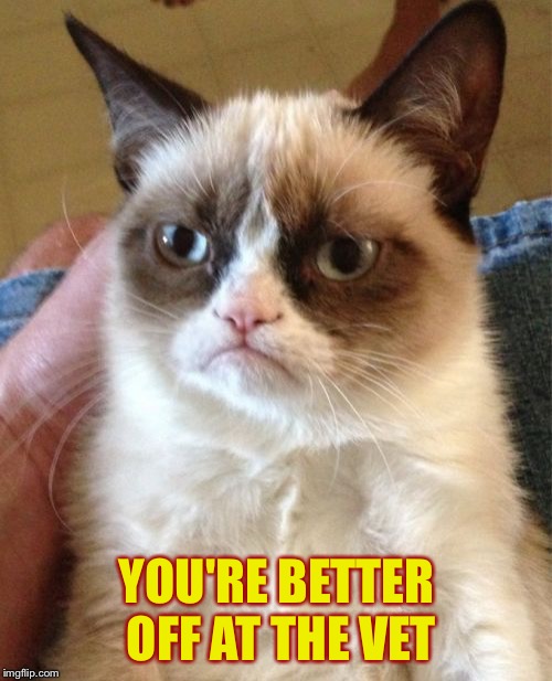 Grumpy Cat Meme | YOU'RE BETTER OFF AT THE VET | image tagged in memes,grumpy cat | made w/ Imgflip meme maker