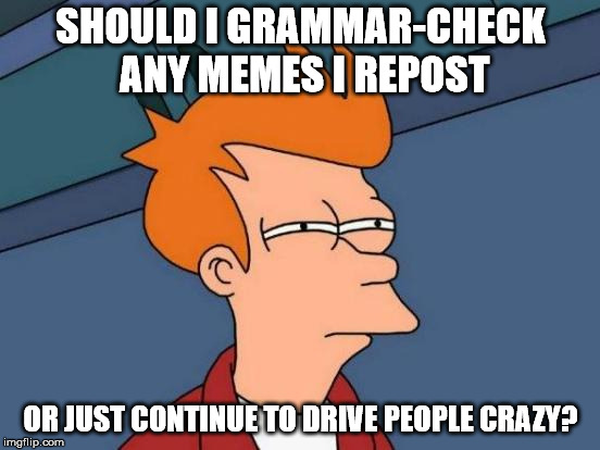 Futurama Fry Meme | SHOULD I GRAMMAR-CHECK ANY MEMES I REPOST; OR JUST CONTINUE TO DRIVE PEOPLE CRAZY? | image tagged in memes,futurama fry | made w/ Imgflip meme maker