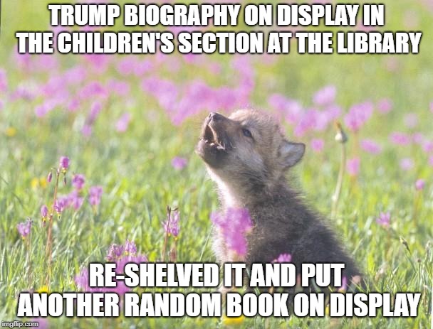 Baby insanity wolf | TRUMP BIOGRAPHY ON DISPLAY IN THE CHILDREN'S SECTION AT THE LIBRARY; RE-SHELVED IT AND PUT ANOTHER RANDOM BOOK ON DISPLAY | image tagged in baby insanity wolf | made w/ Imgflip meme maker