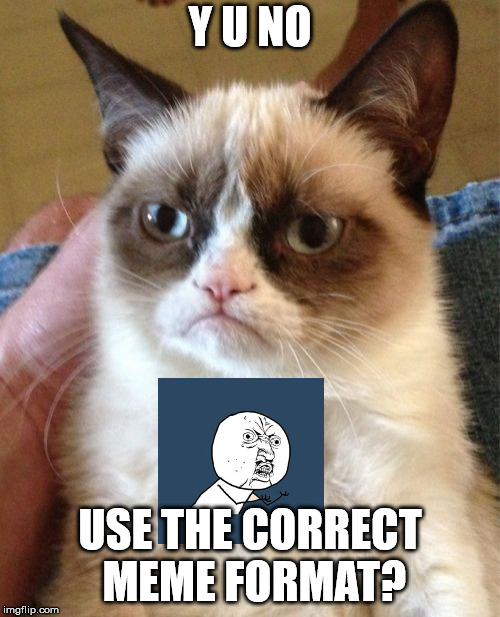 This is what happens when you use the wrong picture in a meme. |  Y U NO; USE THE CORRECT MEME FORMAT? | image tagged in memes,grumpy cat,y u no,cats,cat | made w/ Imgflip meme maker