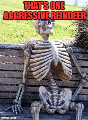Waiting Skeleton Meme | THAT'S ONE AGGRESSIVE REINDEER | image tagged in memes,waiting skeleton | made w/ Imgflip meme maker