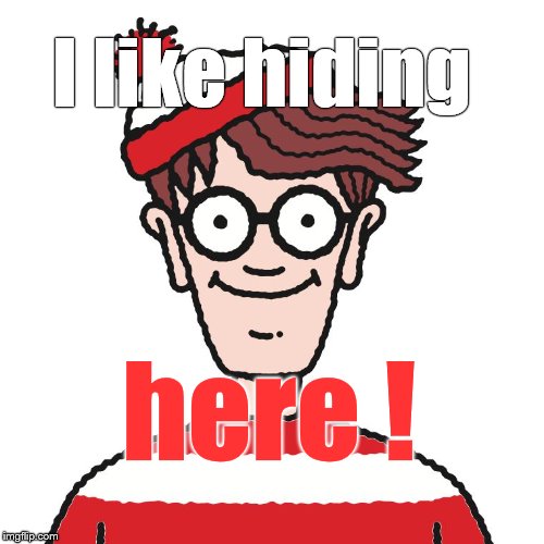 Where's Waldo | I like hiding here ! | image tagged in where's waldo | made w/ Imgflip meme maker