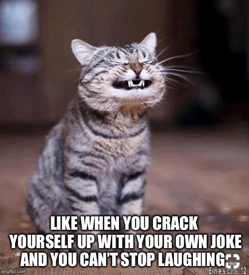 LIKE WHEN YOU CRACK YOURSELF UP WITH YOUR OWN JOKE AND YOU CAN’T STOP LAUGHING | made w/ Imgflip meme maker