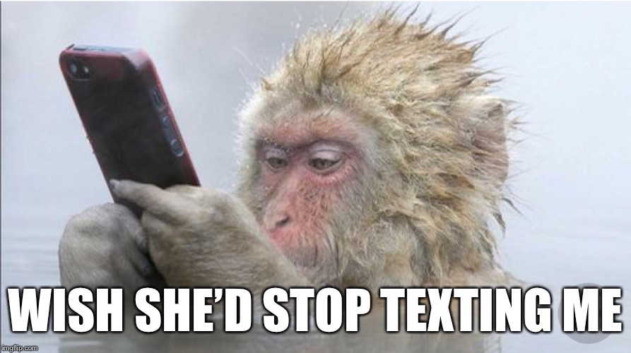WISH SHE’D STOP TEXTING ME | made w/ Imgflip meme maker