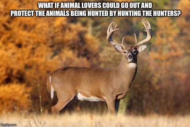 whitetail deer | WHAT IF ANIMAL LOVERS COULD GO OUT AND PROTECT THE ANIMALS BEING HUNTED BY HUNTING THE HUNTERS? | image tagged in whitetail deer | made w/ Imgflip meme maker