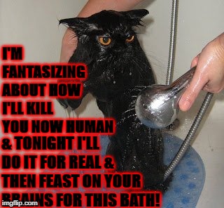 I'M FANTASIZING ABOUT HOW I'LL KILL YOU NOW HUMAN; & TONIGHT I'LL DO IT FOR REAL & THEN FEAST ON YOUR BRAINS FOR THIS BATH! | image tagged in brain feast | made w/ Imgflip meme maker