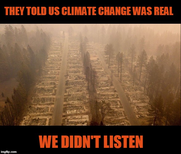 We didn't Listen | THEY TOLD US CLIMATE CHANGE WAS REAL; WE DIDN'T LISTEN | image tagged in climate change,wildfires,paris climate deal,climate | made w/ Imgflip meme maker