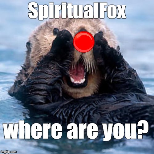 Shouting Otter | SpiritualFox where are you? | image tagged in shouting otter | made w/ Imgflip meme maker