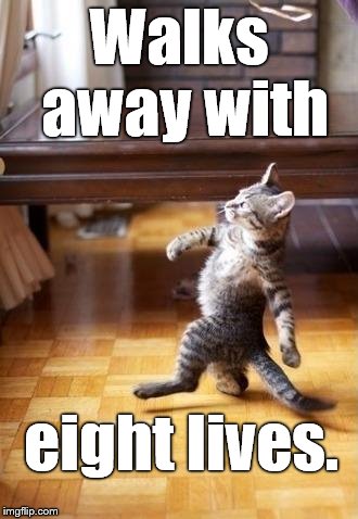 Cool Cat Stroll Meme | Walks away with eight lives. | image tagged in memes,cool cat stroll | made w/ Imgflip meme maker