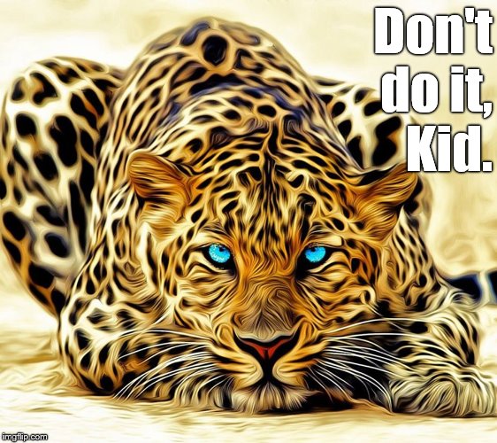 big cat | Don't do it,    Kid. | image tagged in big cat | made w/ Imgflip meme maker