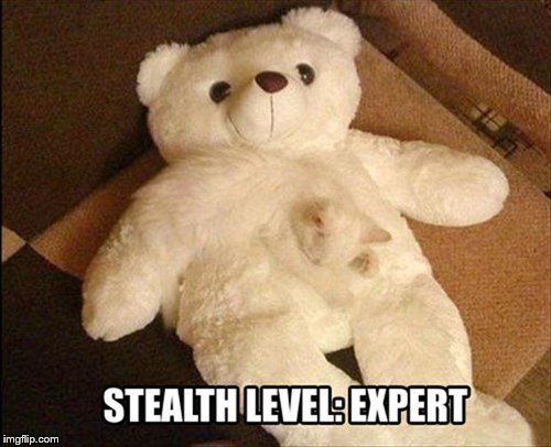 Do you see it? | image tagged in bear,hide and seek | made w/ Imgflip meme maker