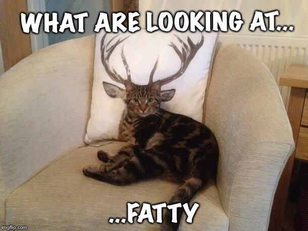 WHAT ARE LOOKING AT... ...FATTY | image tagged in scumbag | made w/ Imgflip meme maker