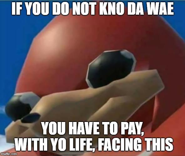 Ugandan Knuckles | IF YOU DO NOT KNO DA WAE; YOU HAVE TO PAY, WITH YO LIFE, FACING THIS | image tagged in ugandan knuckles | made w/ Imgflip meme maker