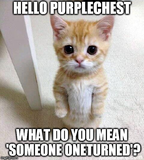 Cute Cat Meme | HELLO PURPLECHEST; WHAT DO YOU MEAN 'SOMEONE ONETURNED'? | image tagged in memes,cute cat | made w/ Imgflip meme maker