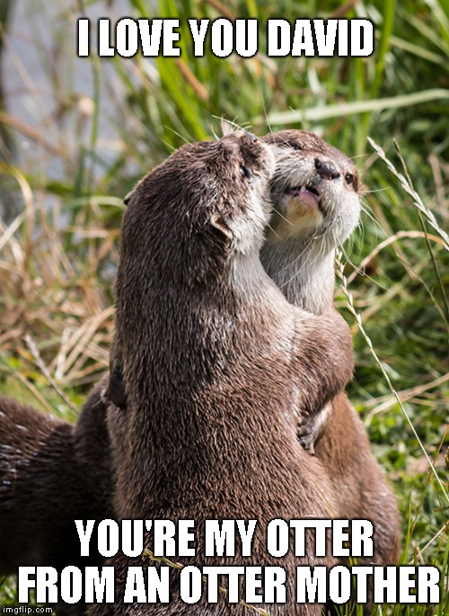 I LOVE YOU DAVID; YOU'RE MY OTTER FROM AN OTTER MOTHER | image tagged in otter motter | made w/ Imgflip meme maker