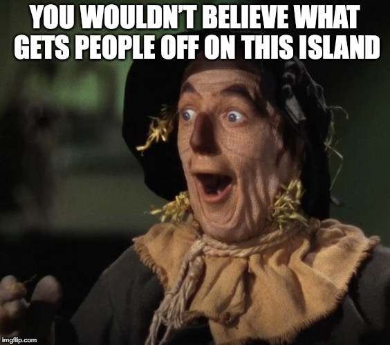 Straw Man - What a Great Idea | YOU WOULDN’T BELIEVE WHAT GETS PEOPLE OFF ON THIS ISLAND | image tagged in straw man - what a great idea | made w/ Imgflip meme maker