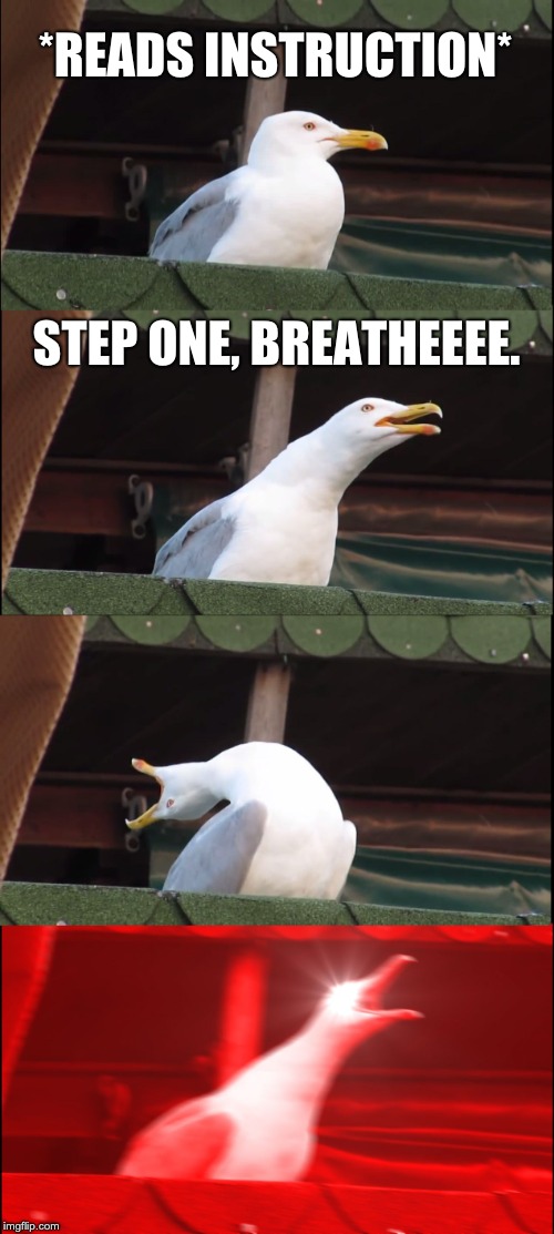 breathing gud | *READS INSTRUCTION*; STEP ONE, BREATHEEEE. | image tagged in memes,inhaling seagull | made w/ Imgflip meme maker