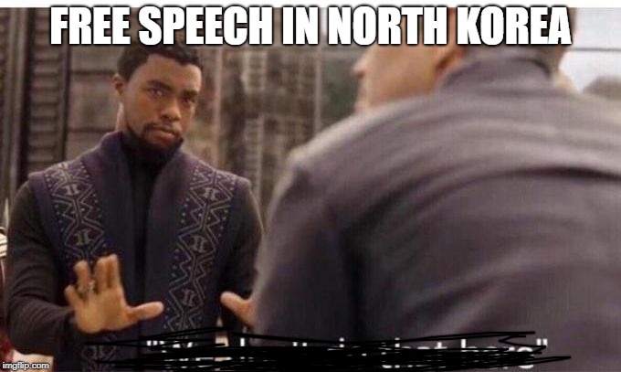We dont do that here | FREE SPEECH IN NORTH KOREA | image tagged in we dont do that here | made w/ Imgflip meme maker