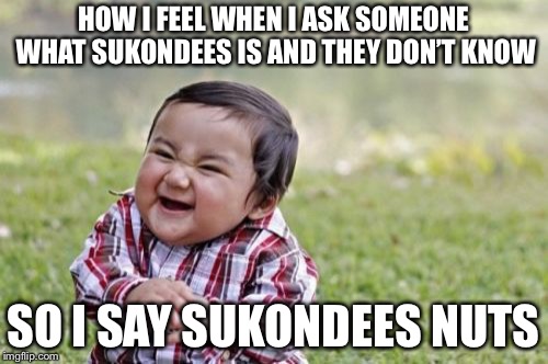 Sukondees | HOW I FEEL WHEN I ASK SOMEONE WHAT SUKONDEES IS AND THEY DON’T KNOW; SO I SAY SUKONDEES NUTS | image tagged in memes,evil toddler | made w/ Imgflip meme maker