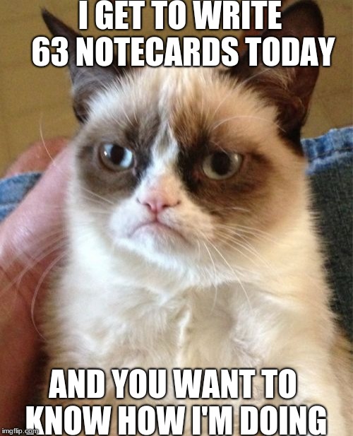 Grumpy Cat Meme | I GET TO WRITE 63 NOTECARDS TODAY; AND YOU WANT TO KNOW HOW I'M DOING | image tagged in memes,grumpy cat | made w/ Imgflip meme maker