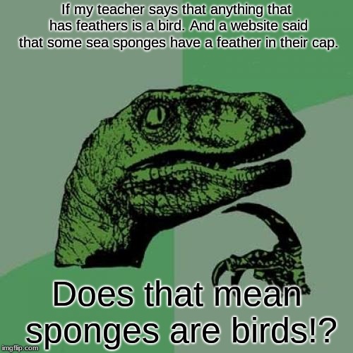 teacher's words | If my teacher says that anything that has feathers is a bird. And a website said that some sea sponges have a feather in their cap. Does that mean sponges are birds!? | image tagged in memes,philosoraptor | made w/ Imgflip meme maker