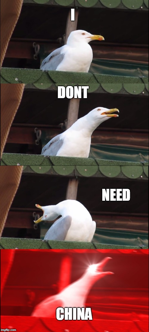 Inhaling Seagull Meme | I; DONT; NEED; CHINA | image tagged in memes,inhaling seagull | made w/ Imgflip meme maker