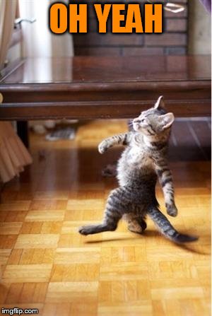 Walking Cat | OH YEAH | image tagged in walking cat | made w/ Imgflip meme maker