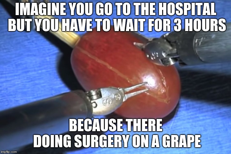 They did surgery on a grape | IMAGINE YOU GO TO THE HOSPITAL BUT YOU HAVE TO WAIT FOR 3 HOURS; BECAUSE THERE DOING SURGERY ON A GRAPE | image tagged in they did surgery on a grape | made w/ Imgflip meme maker