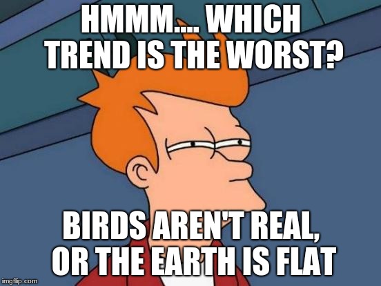 Futurama Fry Meme | HMMM.... WHICH TREND IS THE WORST? BIRDS AREN'T REAL, OR THE EARTH IS FLAT | image tagged in memes,futurama fry | made w/ Imgflip meme maker