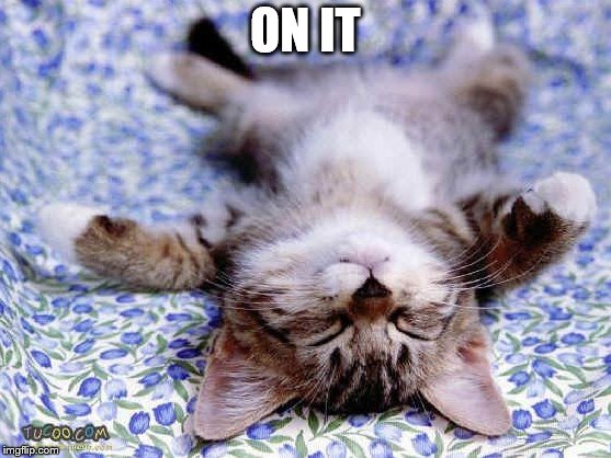 UpsideDwon Sleeping Cat | ON IT | image tagged in upsidedwon sleeping cat | made w/ Imgflip meme maker