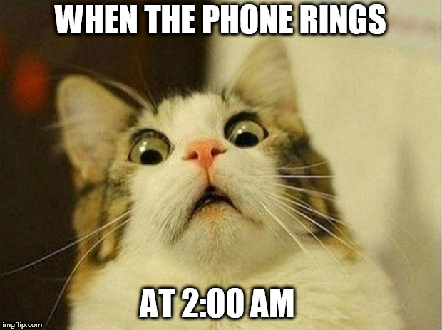 Scared Cat Meme | WHEN THE PHONE RINGS; AT 2:00 AM | image tagged in memes,scared cat | made w/ Imgflip meme maker