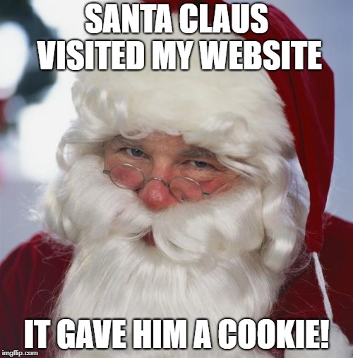 santa claus | SANTA CLAUS VISITED MY WEBSITE; IT GAVE HIM A COOKIE! | image tagged in santa claus | made w/ Imgflip meme maker