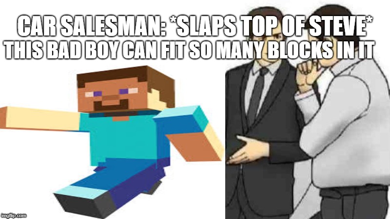 Minecraft salesman | CAR SALESMAN: *SLAPS TOP OF STEVE*; THIS BAD BOY CAN FIT SO MANY BLOCKS IN IT | image tagged in minecraft | made w/ Imgflip meme maker
