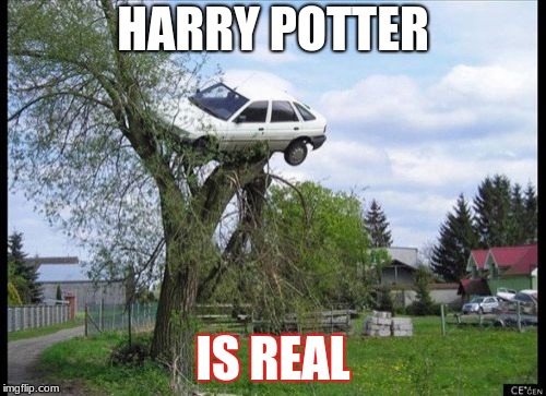 Secure Parking Meme | HARRY POTTER; IS REAL | image tagged in memes,secure parking | made w/ Imgflip meme maker