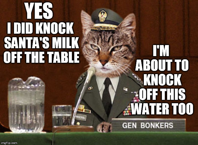 General Pussay | YES; I DID KNOCK SANTA'S MILK OFF THE TABLE; I'M ABOUT TO KNOCK OFF THIS WATER TOO | image tagged in general pussay | made w/ Imgflip meme maker