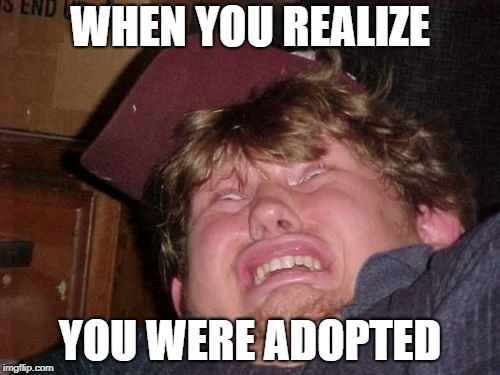 WTF | WHEN YOU REALIZE; YOU WERE ADOPTED | image tagged in memes,wtf | made w/ Imgflip meme maker