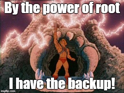 he-man | By the power of root; I have the backup! | image tagged in he-man | made w/ Imgflip meme maker