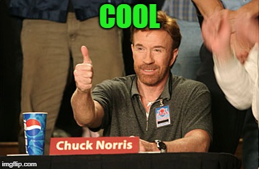 Chuck Norris Approves Meme | COOL | image tagged in memes,chuck norris approves,chuck norris | made w/ Imgflip meme maker